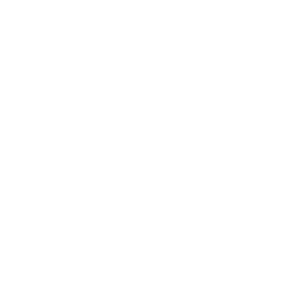 Productora del año